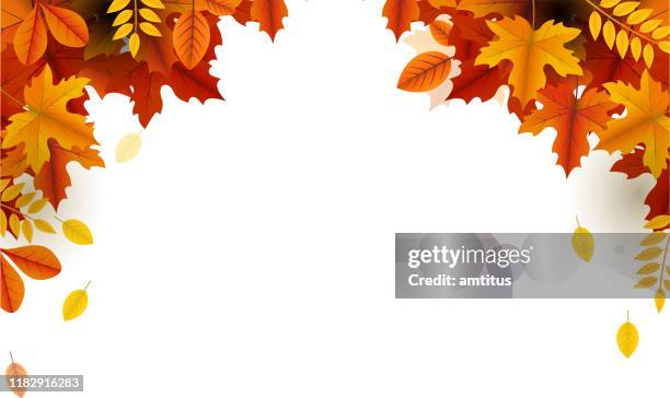 autumn beauty falling leaves frame - automne stock illustrations