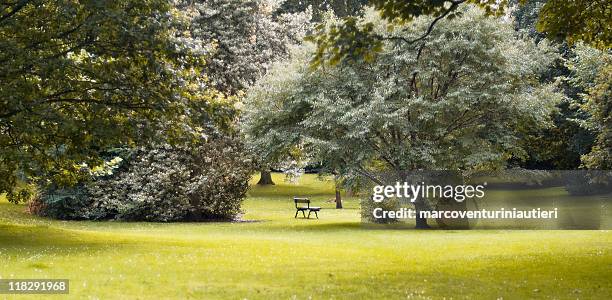 glowing light in the park, one lonely bench - soft focus stock pictures, royalty-free photos & images