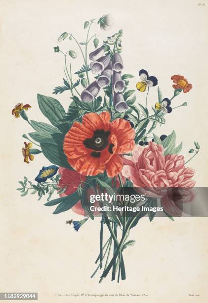 Collection of Flowers and Fruits Painted after Nature: Bouquet of Foxglove, Clematis, Pansy, Peony, Poppy, and Yellow Day Lily, 1805. By the mid-17th...