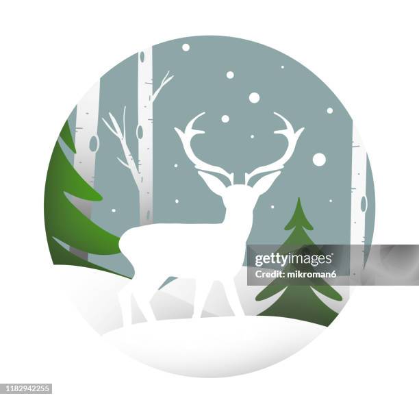 christmas illustration of deer in a winter forest - christmas card - hand drawn christmas card with reindeer ストックフォトと画像