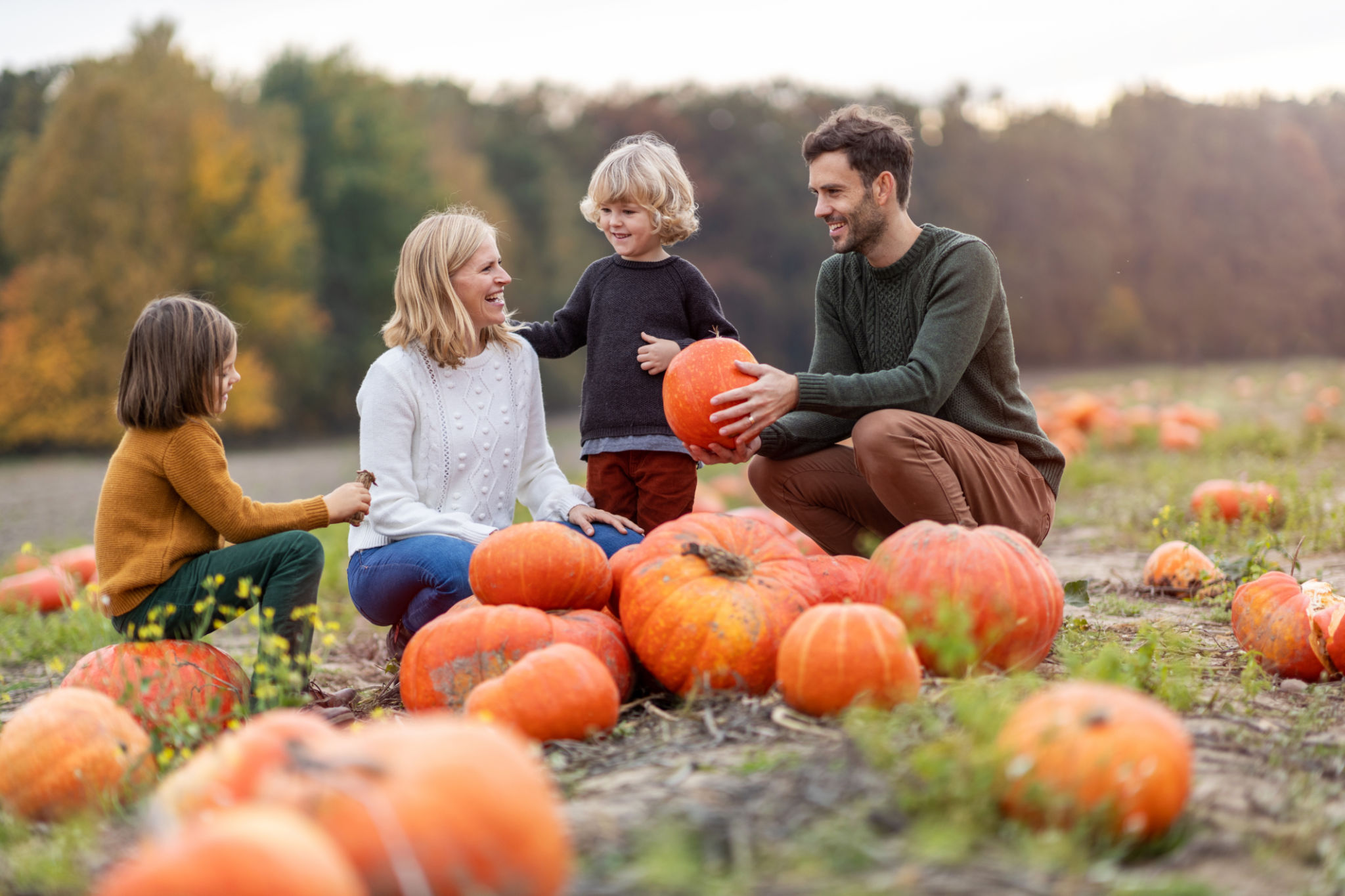 family pumpkin patch