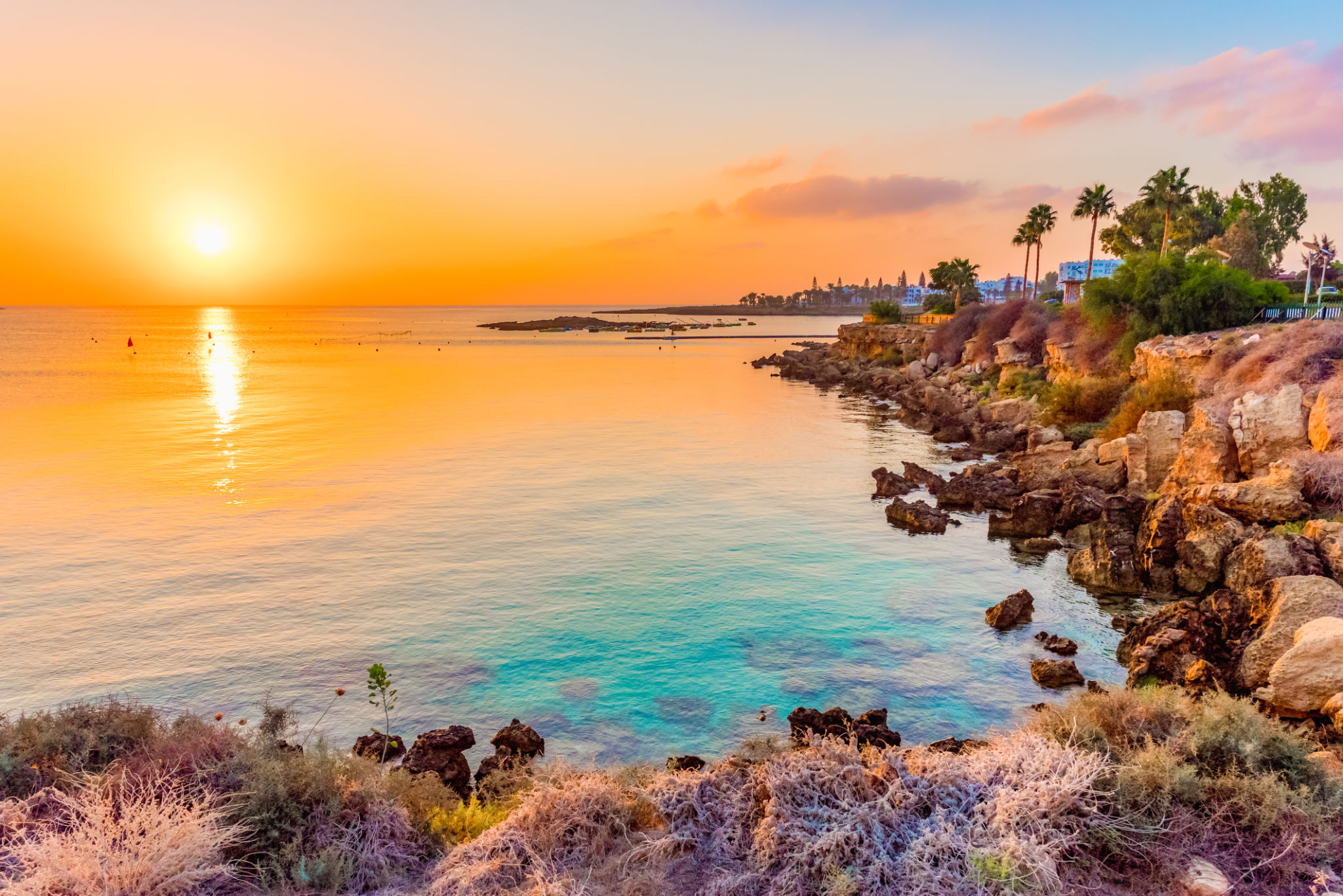 cyprus work