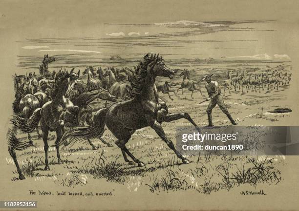 stockillustraties, clipart, cartoons en iconen met cowboy onder kudde van wilde paarden op western prairie, jaren 1880 - kansas