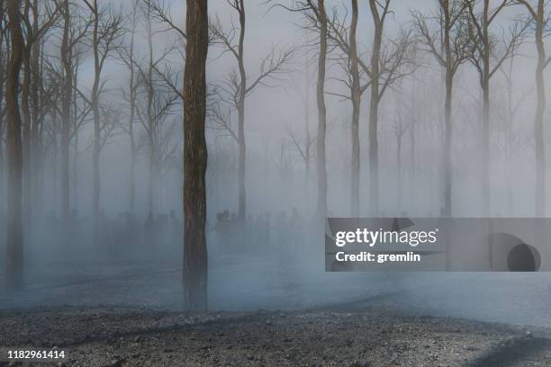 spooky foggy forest full of walking dead zombies - apocalypse stock pictures, royalty-free photos & images