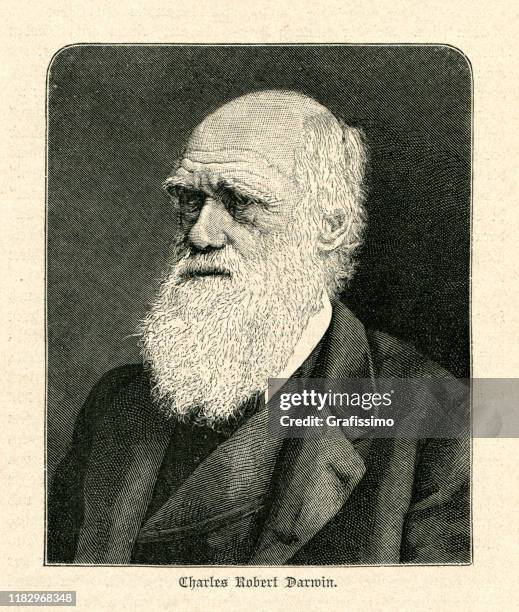 charles darwin naturalist portrait illustration - darwin stock illustrations