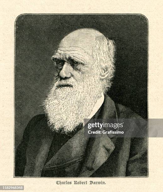 charles darwin naturalist portrait illustration - stars portrait session stock illustrations