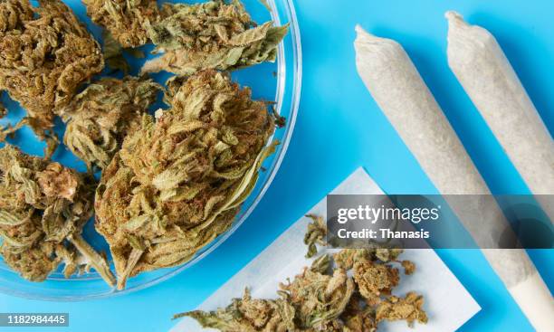 medical cannabis - stock photo - marijuana joint fotografías e imágenes de stock