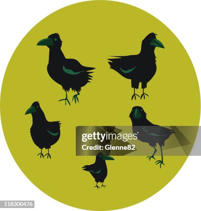 Five crows Five crows