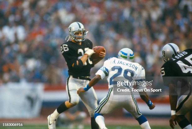 Van McElroy of the Oakland Raiders intercepts a pass against the Seattle Seahawks during an NFL football game October 30, 1983 at the Los Angeles...