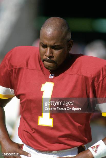 Rob Ruggiero Nfl Kicker Reggie Roby Photos and Premium High Res Pictures - Getty Images