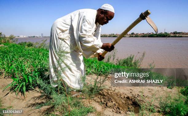 Osman Idris, a 60-year-old Sudanese farmer, uses a hoe during an interview with AFP in an agricultural field in the capital Khartoum's district of...