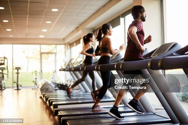 view of a row of treadmills in a gym with people. - gym workout imagens e fotografias de stock