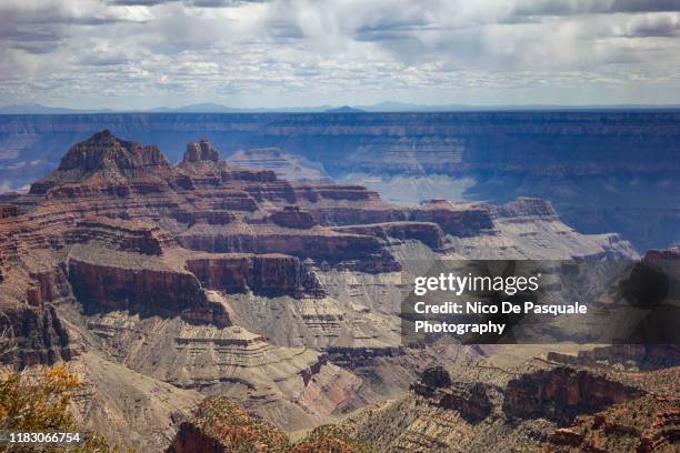 grand canyon - north rim - estrato de roca fotografías e imágenes de stock
