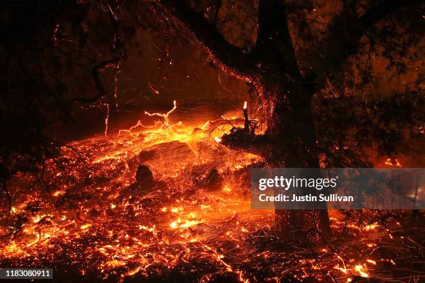 Embers blow in the wind as the Kincaide Fire burns through the area on October 24, 2019 in Geyserville, California. Fueled by high winds, the...