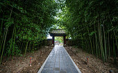 Bamboo grove alley and traditional gate at Gyeonggijeon Shrine in Jeonju South Korea