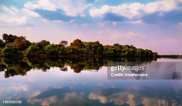 zambezi river landscape at sunset, zimbabwe - zambezi river stockfoto's en -beelden