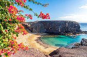 Landscape with Papagayo beach