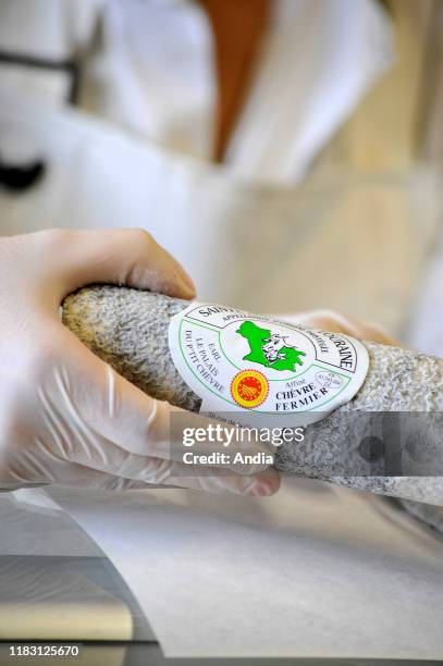 Chatillon-sur-Cher : goat's cheese making at the ÒPalais du p'tit chevreÓ cheese factory Making of Sainte-Maure-de-Touraine cheese, ash coated...