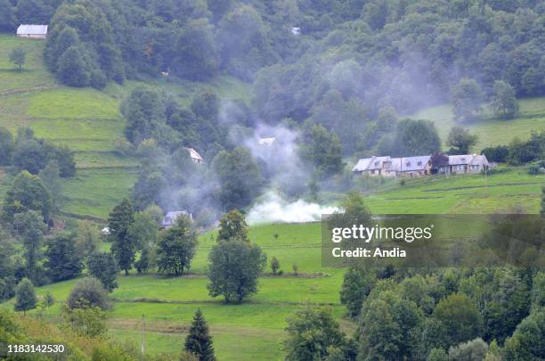 Slash-and-burn farming in the Hautes-Pyrenees department .