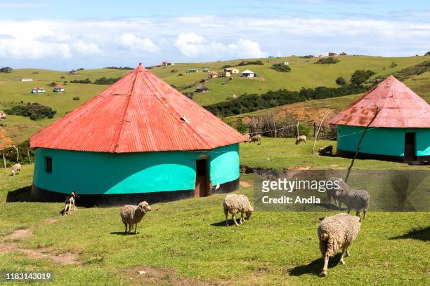 The village of Nqileni in the Eastern Cape province.