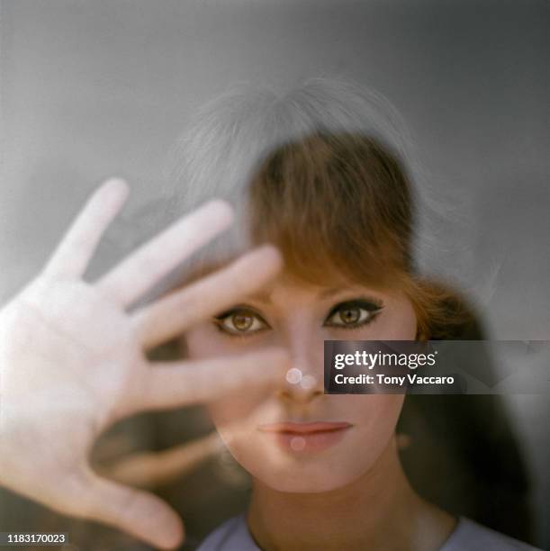 Italian actress Sophia Loren looking through the glass of a window with her right hand up, New York City, US, 1954.