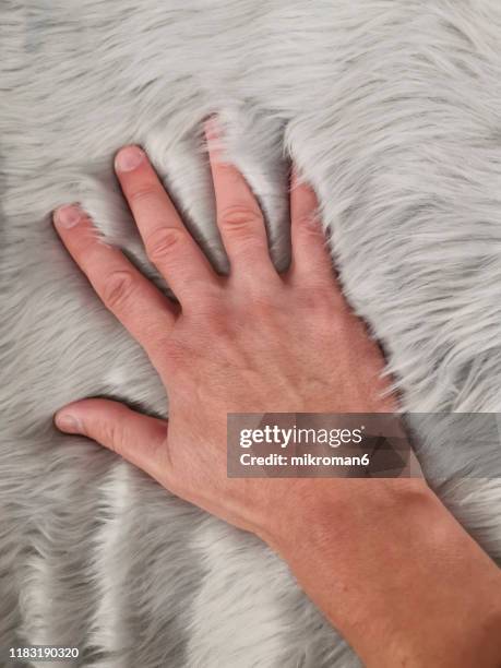 Touch Texture 3,274 Soft Touch Texture Stock Photos, High-Res Pictures, and Images ...