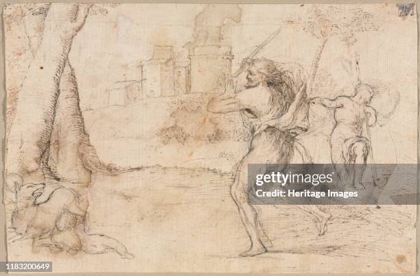 45 The Finding Of Romulus And Remus Stock Photos, High-Res Pictures ...