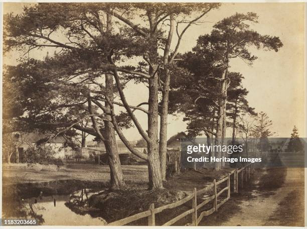 Scotch Firs, Hawkhurst, 1853. Despite the Industrial Revolution, Benjamin Brecknell Turner portrayed the English countryside as stable, harmonious,...