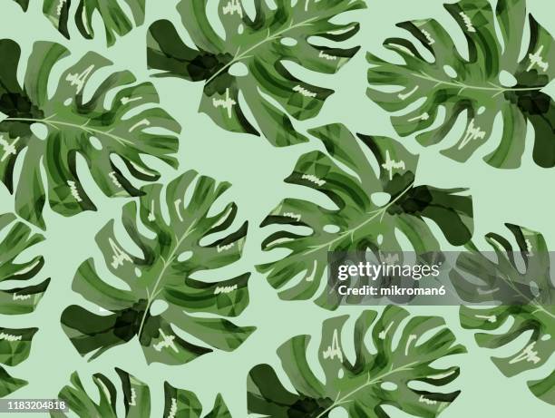 illustration of branches of tree tropical background - tropisches muster stock-fotos und bilder
