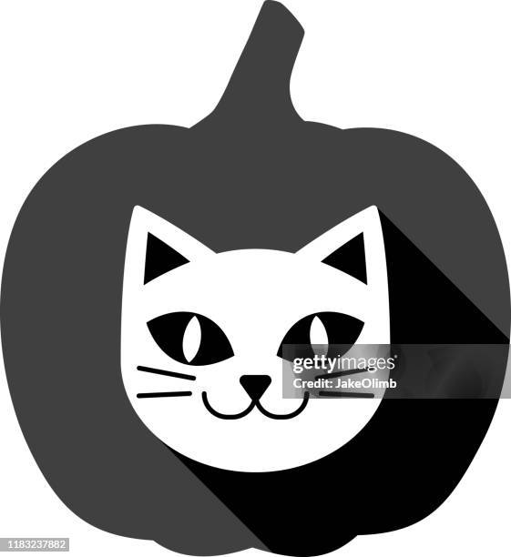 cat pumpkin icon silhouette 2 - cat eye stock illustrations