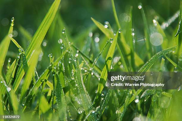 Drope Drope Photos et images de collection - Getty Images