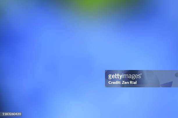 abstract image of royal blue plumbago flowers and leaf - two tone color stock pictures, royalty-free photos & images