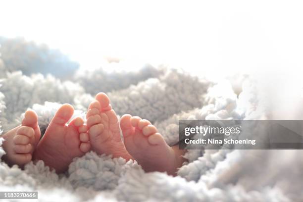 baby toes - twins boys stockfoto's en -beelden