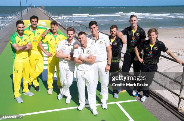 Australian players Glenn Maxwell , Mitchell Starc ,Alex Carey ,Steve Smith ,David Warner ,Pat Cummins ,Aaron Finch ,Billy Stanlake and Adam Zampa...