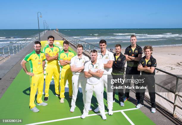 Australian players Glenn Maxwell , Mitchell Starc ,Alex Carey ,Steve Smith ,David Warner ,Pat Cummins ,Aaron Finch ,Billy Stanlake and Adam Zampa...