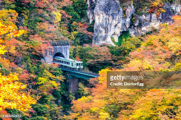 naruko gorge in autumn, miyagi, japan - prefectura de miyagi fotografías e imágenes de stock