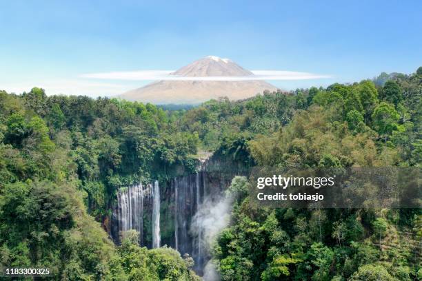 chute d'eau, volcan et forêt tropicale humide en indonésie - parc national de bromo tengger semeru photos et images de collection
