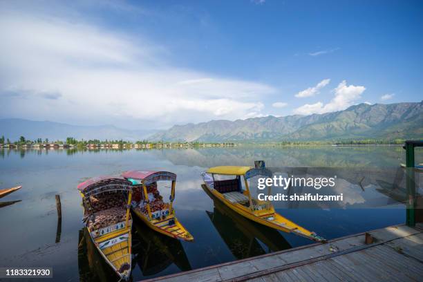 a kashmiri man paddling a shikara (traditional boat) on dal lake of kashmir, india. - dal lake stock pictures, royalty-free photos & images