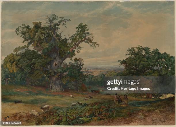 John Rudge Architect 181 John Rudge Photos & High Res Pictures - Getty Images