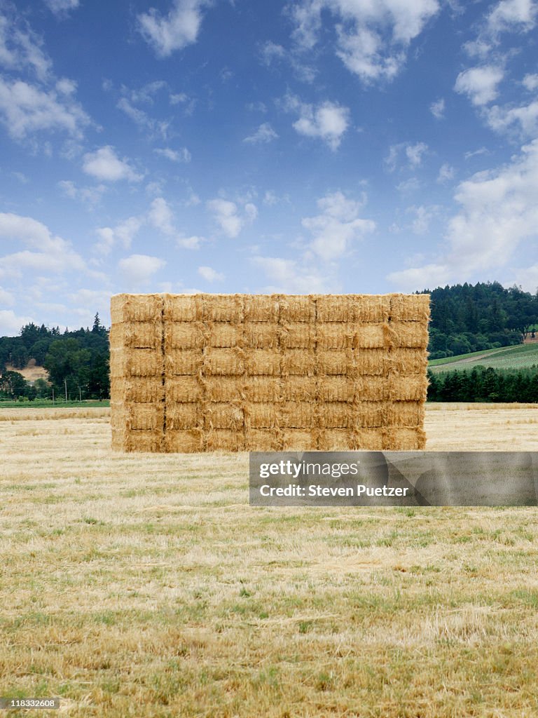 Square bale of hay