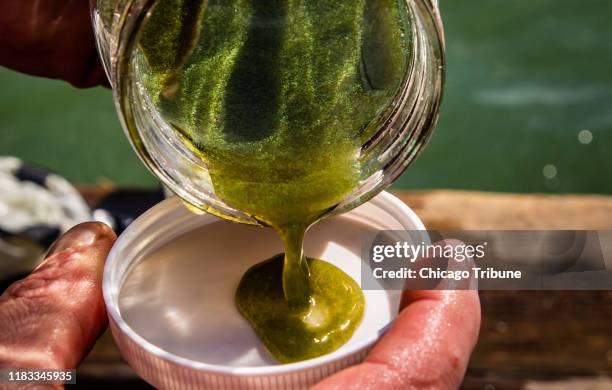 Ed Verhamme, a coastal engineer with LimnoTech, collects a concentrated sample of algae and bacteria near the intake crib on Lake Erie in Toledo,...