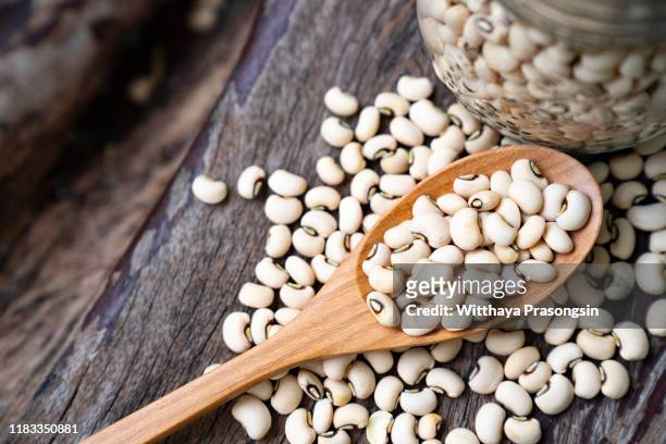 soy beans on wooden spoon - bean stock pictures, royalty-free photos & images