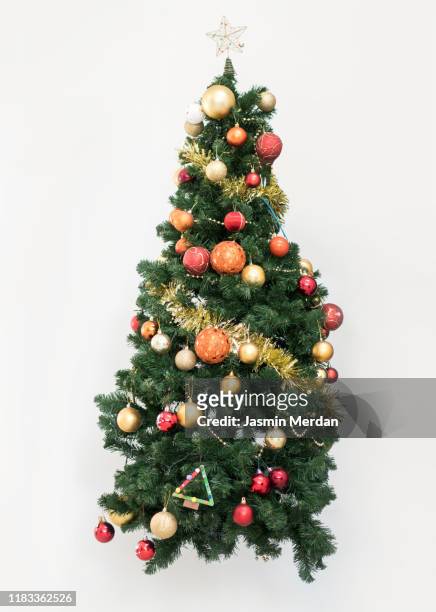 isolated christmas tree - christmas trees stock pictures, royalty-free photos & images