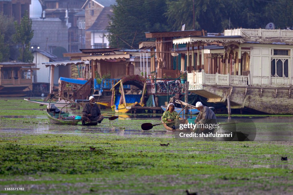 A Kashmiri people paddling a shikara (traditional boat) on Dal Lake of Kashmir, India.