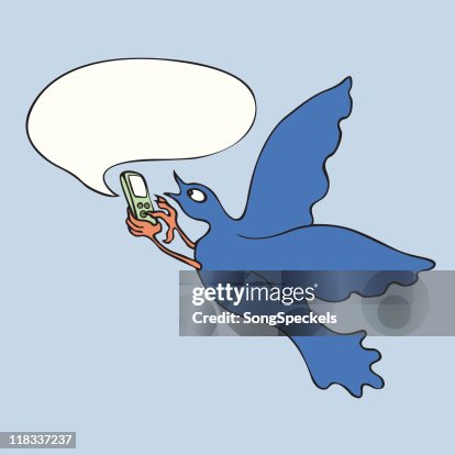 Bird Text Messaging Bird Text Messaging