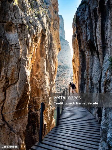 walkway and wooden bridges pinned along the steep walls of a narrow gorge in the nature. caminito del rey (the king walkway), malaga, andalusia, spain. - caminito del rey málaga province stock pictures, royalty-free photos & images