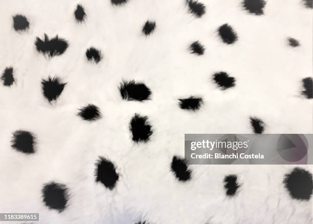 dalmatian skin - kunstpelz stock-fotos und bilder