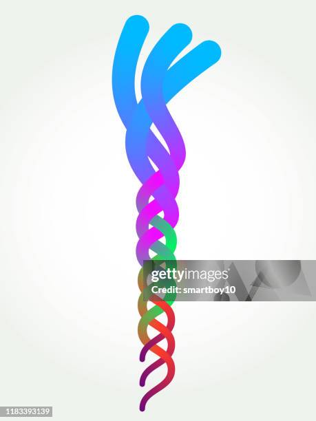 Braid Icon Abstract 358 Cable Braid Stock Photos, High-Res Pictures, and Images - Getty Images