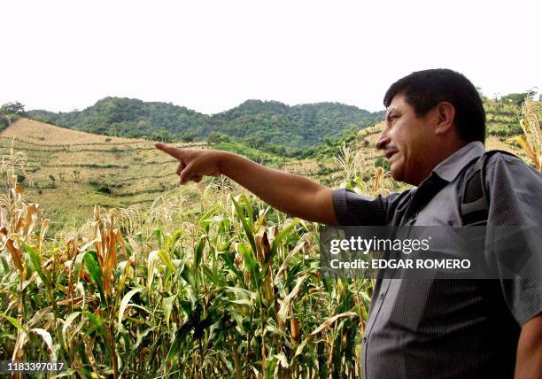 Alfredo Rumaldo Ascencio points to corn being cultivated by coffee farmers in Tacuba, El Salvador 12 September 2002. Alfredo Rumaldo Ascencio ,...