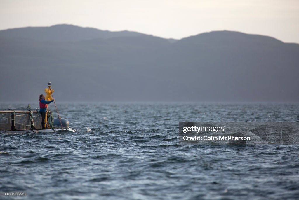 United Kingdom - Scotland - Scottish Salmon Watch